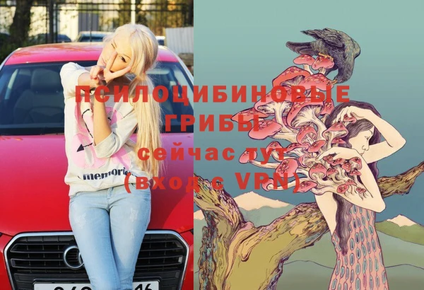 МДПВ Алексин