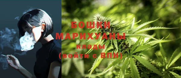 соль ск Коряжма